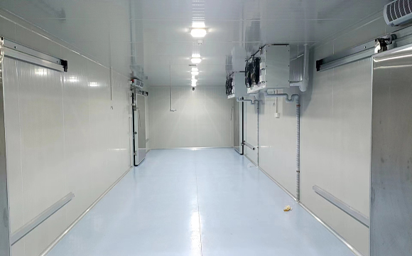 冷鏈醫(yī)藥冷庫(kù)項(xiàng)目