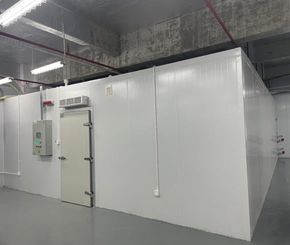 大翔（深圳）醫(yī)藥6層冷庫(kù)項(xiàng)目